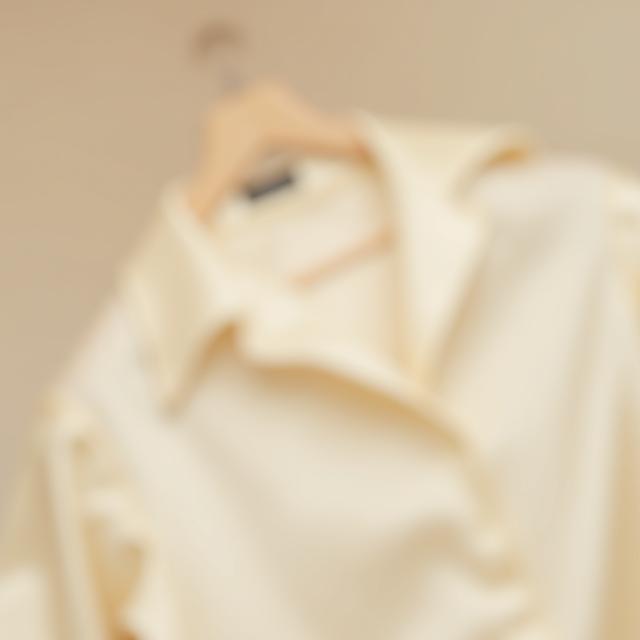 Pure Silk Blouse